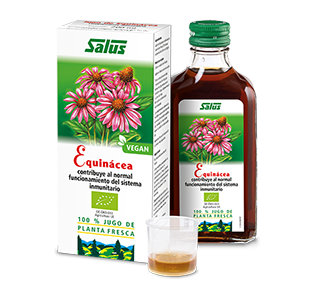 ECHINACEA