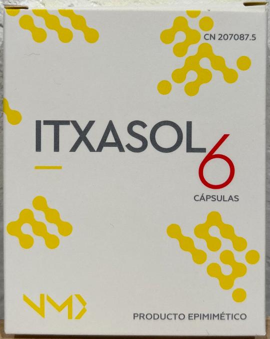 ITXASOL 6